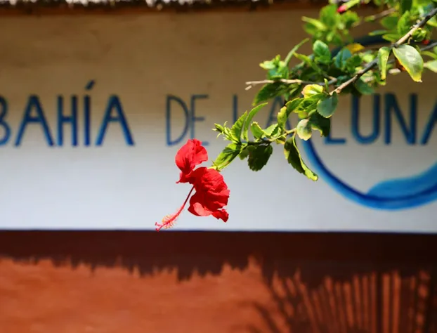 Bahía de la Luna hotel detail image 1