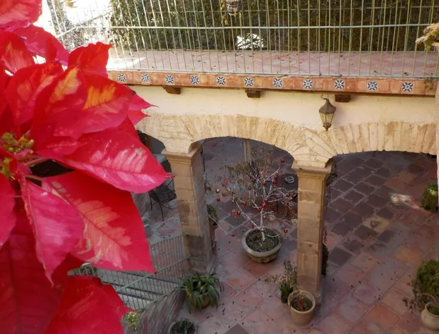 Hotel Shantiniketan hotel detail image 2