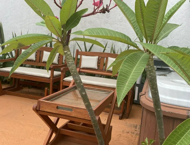 Colibrí Hotel hotel detail image 1