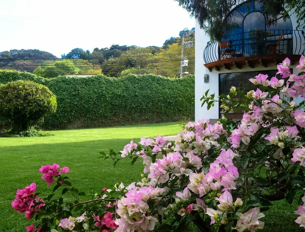 Colibrí Hotel hotel detail image 4