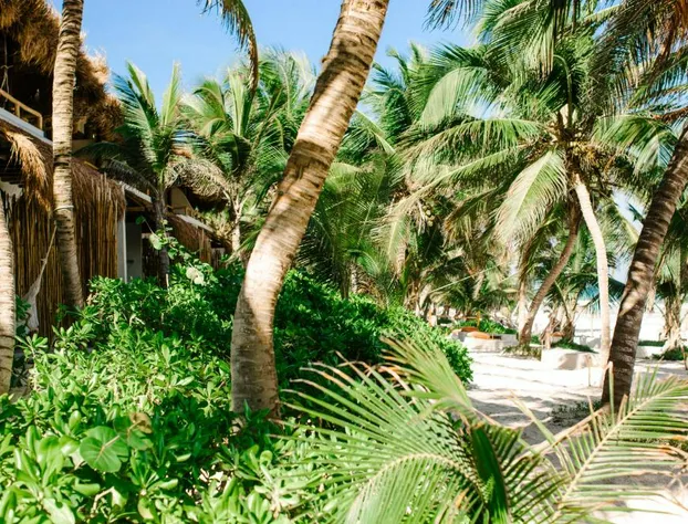 The Beach Tulum Hotel hotel detail image 3