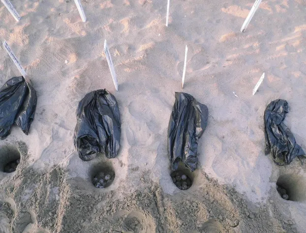 Roberto's Bistro hotel detail image 3