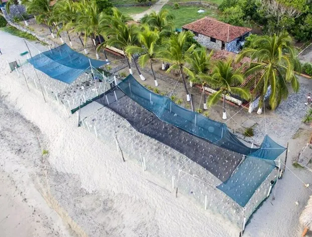 Roberto's Bistro hotel detail image 4