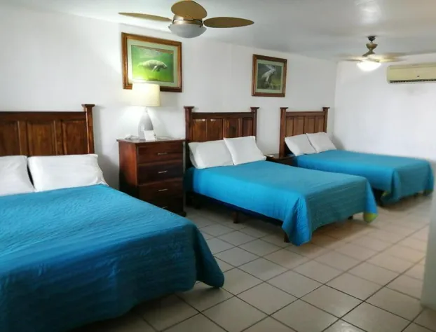 Freedom Shores "La Gringa" Hotel - Universally Designed hotel detail image 2