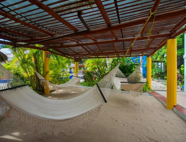 Hotel Meson de Mita hotel detail image 1