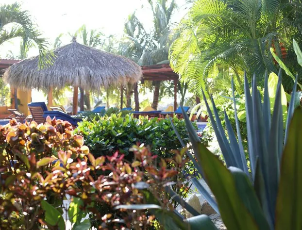 Hotel Meson de Mita hotel detail image 4