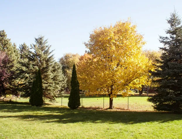 High Trees Bed and Breakfast hotel detail image 1