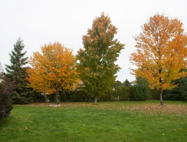 High Trees Bed and Breakfast hotel detail image 2