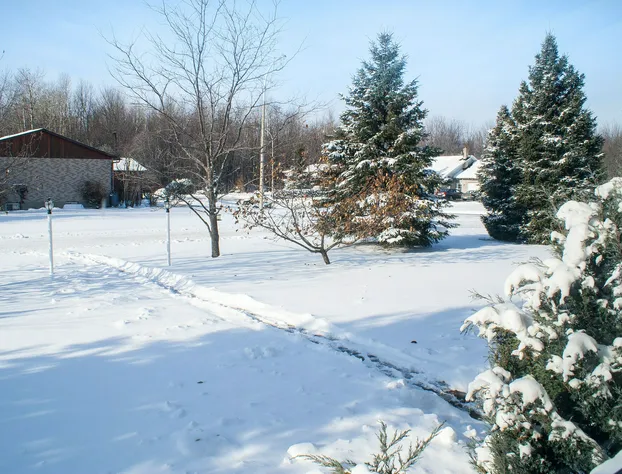 High Trees Bed and Breakfast hotel detail image 3