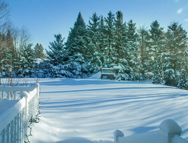 High Trees Bed and Breakfast hotel detail image 4