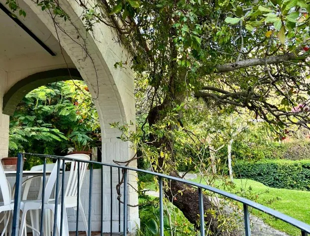 Mama Chuy Hotel & Villas Ajijic hotel detail image 1