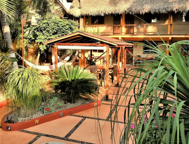 Hotelito Swiss Oasis - Adults Only hotel detail image 3