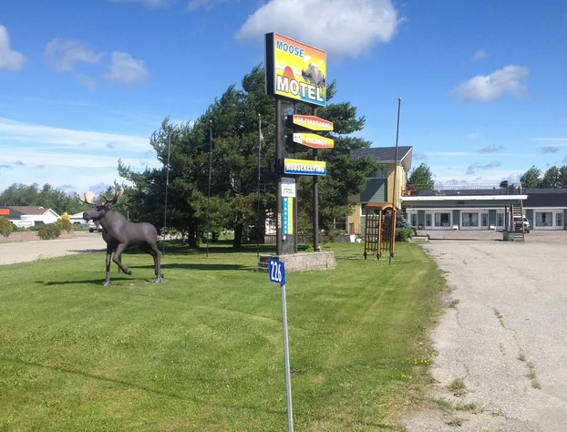 Moose Motel hotel detail image 3