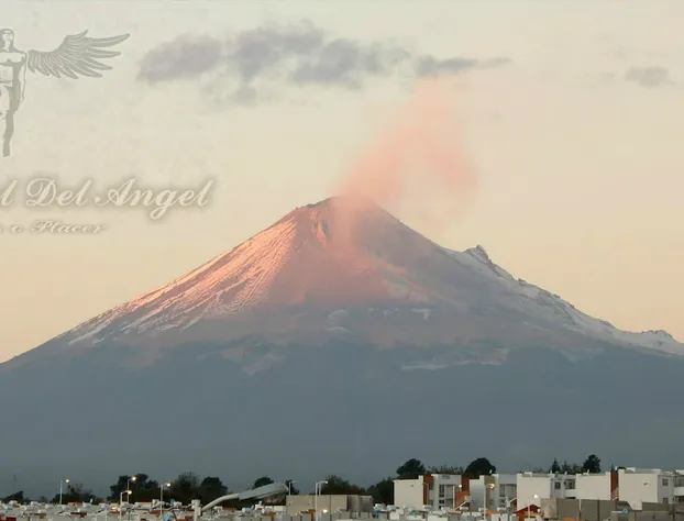 Hotel Real del Angel hotel detail image 2