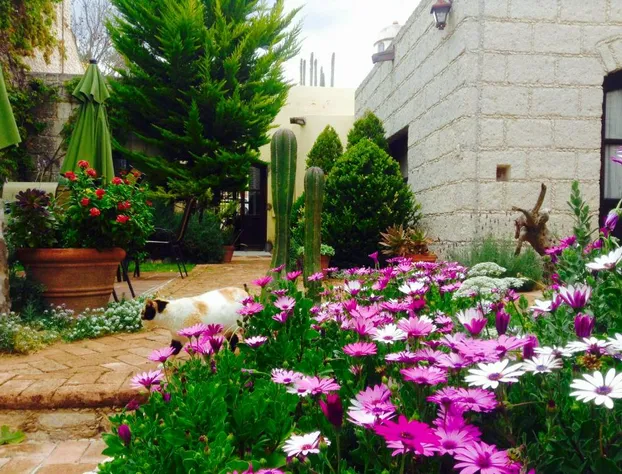 Hotel Secreto hotel detail image 3