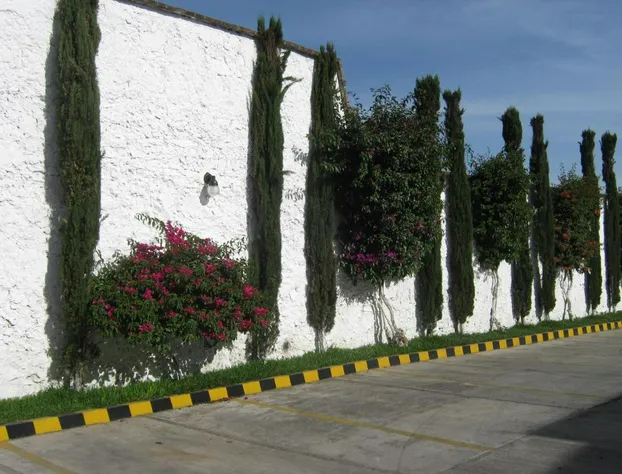 Hotel Colonial hotel detail image 2