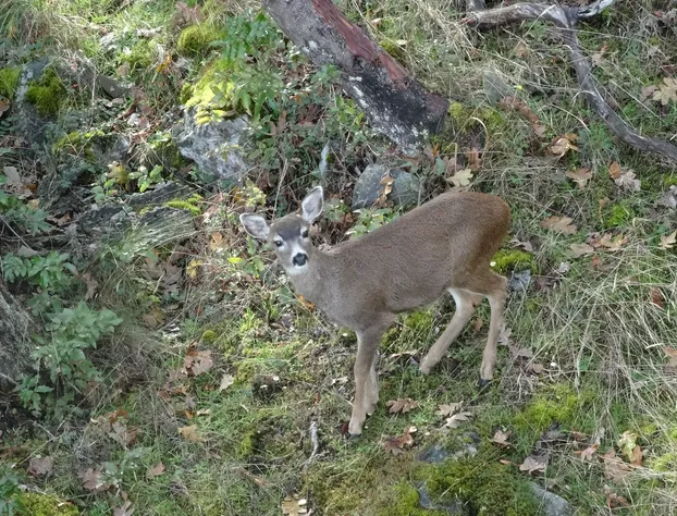 Gibralter Rock Ocean View B&B hotel detail image 1