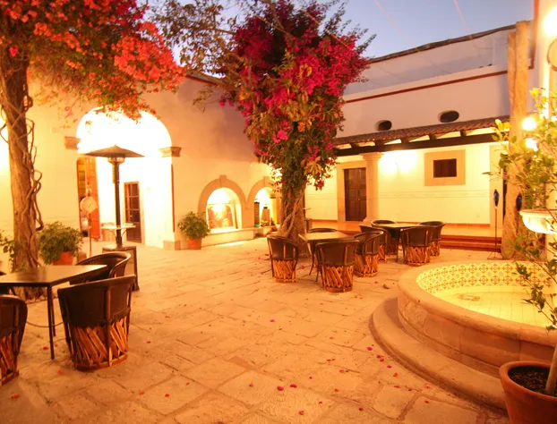 Hotel Villa del Villar hotel detail image 1