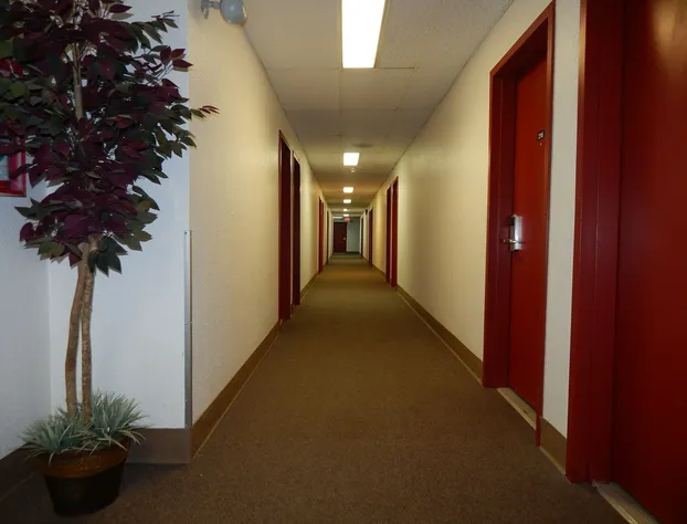 Igloo Inn hotel detail image 4