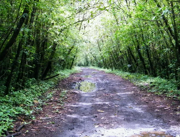 Hotel Michelle hotel detail image 2