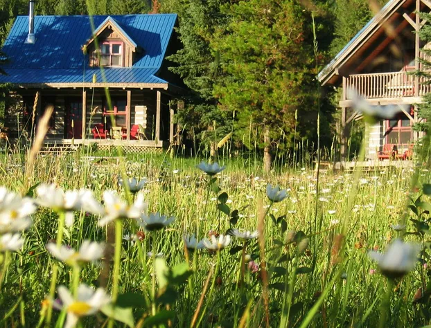 Nipika Mountain Resort hotel detail image 2