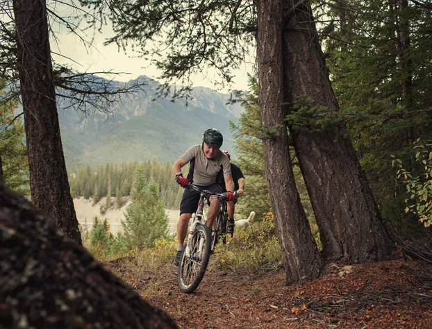 Nipika Mountain Resort hotel detail image 4