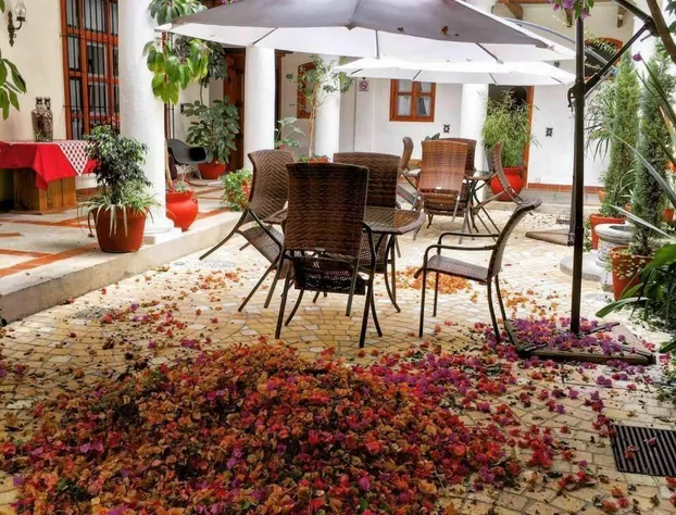 Hotel Provincia hotel detail image 3