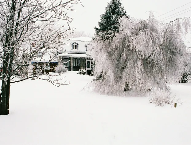 Le Passerin Indigo Gîte du passant hotel detail image 4