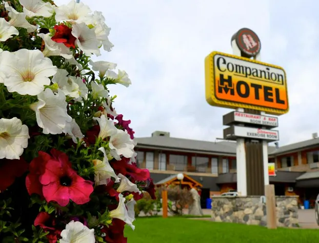 Companion Hotel Motel hotel detail image 3