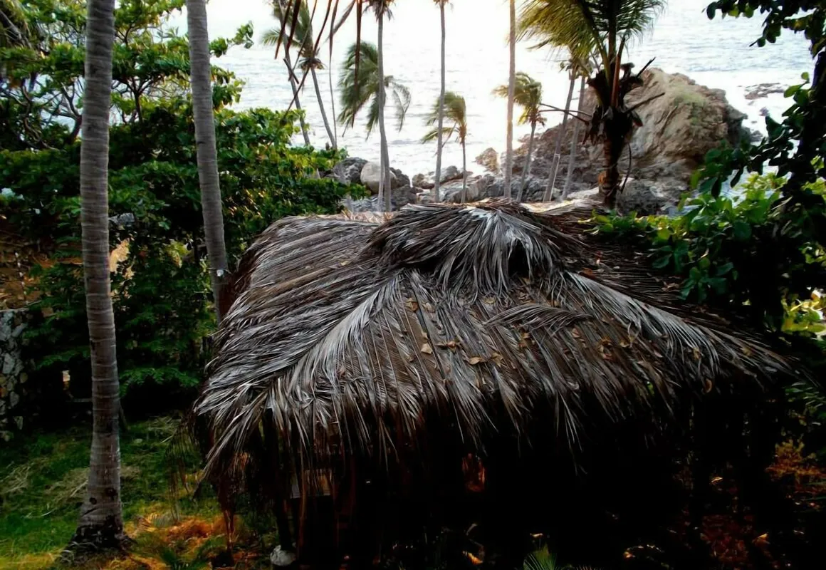 Cocos Camp hotel hero