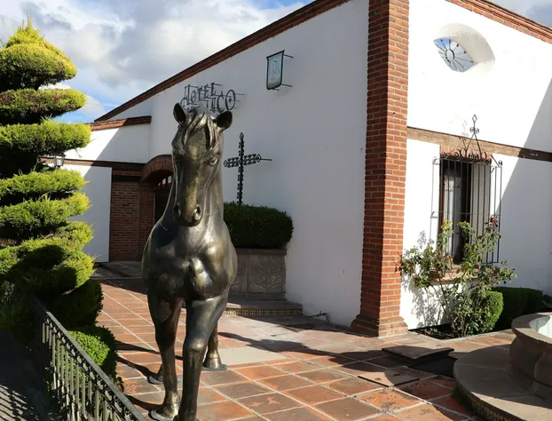 Hotel Cuamanco hotel detail image 2