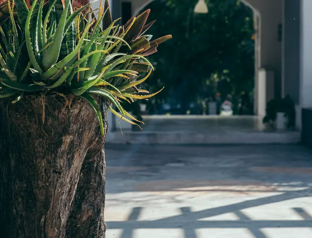 Teetotum Hotel Restaurant Lounge hotel detail image 2