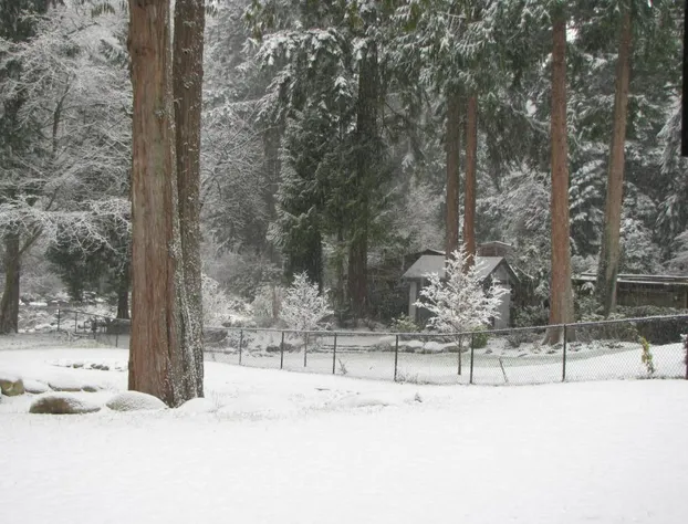 Riverfront Bed and Breakfast hotel detail image 2