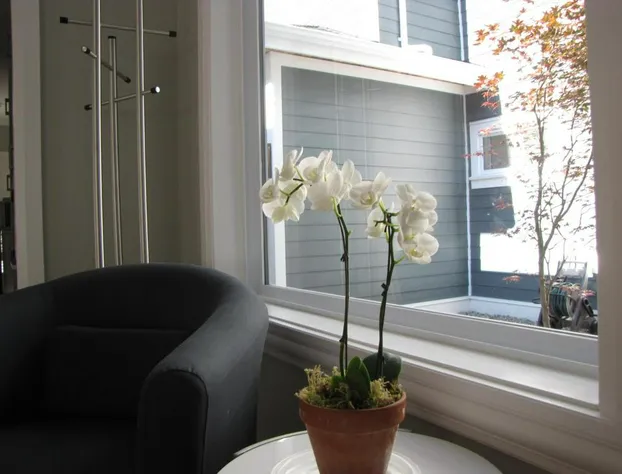 Riverfront Bed and Breakfast hotel detail image 3