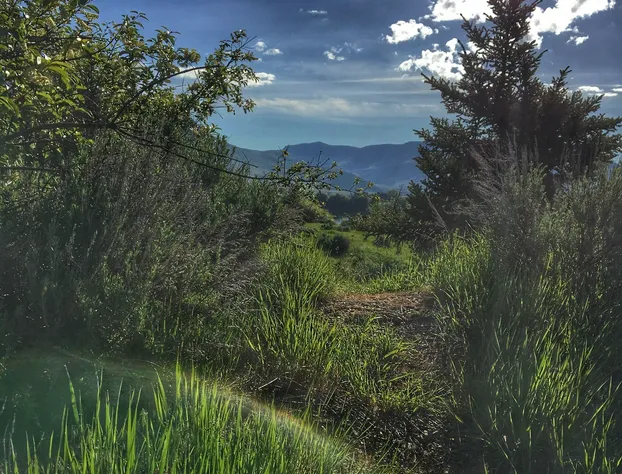 Snowberry Inn Bed & Breakfast hotel detail image 4