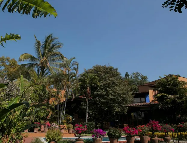 Orchidelirium Casa Hotel & Salud Estetica hotel detail image 1