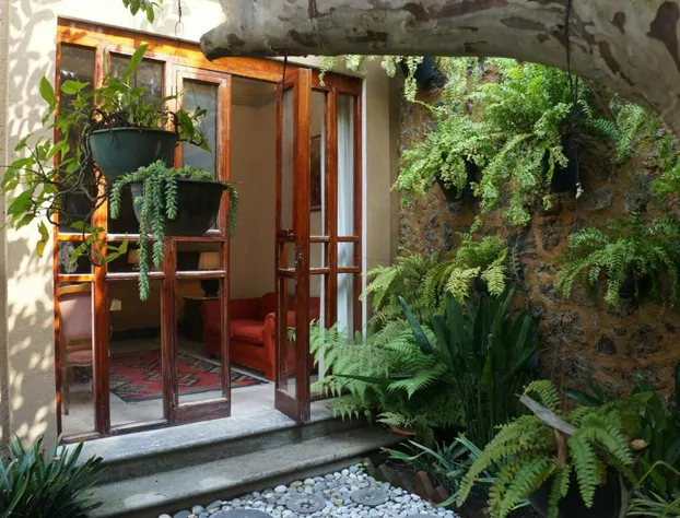 Orchidelirium Casa Hotel & Salud Estetica hotel detail image 4