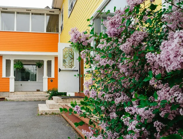 Hotel Wolfe Island hotel detail image 4