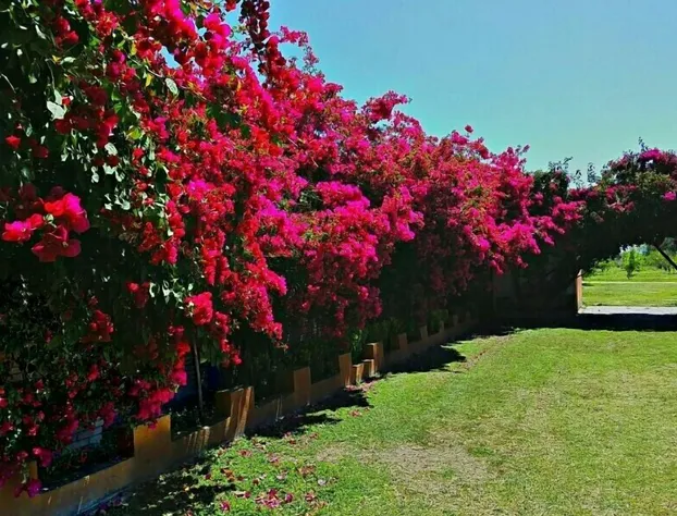 Hotel La Malanca hotel detail image 1