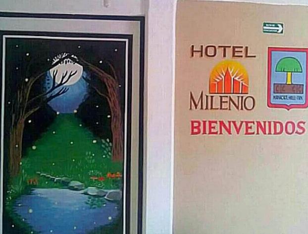 Hotel Milenio hotel detail image 1