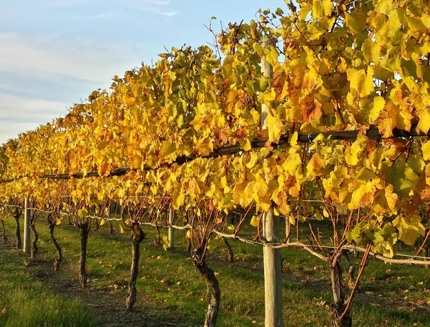 North Fork Guest House hotel detail image 2