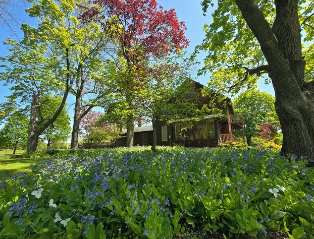 Chanticleer Guest House hotel detail image 2