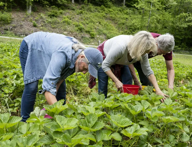 Country Road House and Berries Bed & Breakfast - Farm Stay hotel detail image 4