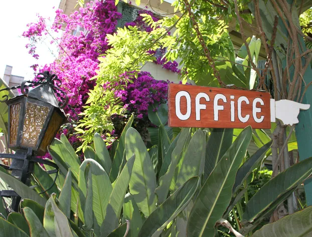 La Paloma Las Flores hotel detail image 2