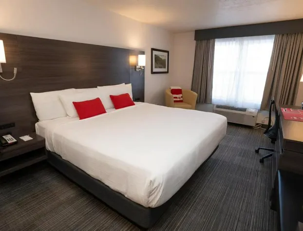 University Guest House hotel detail image 3