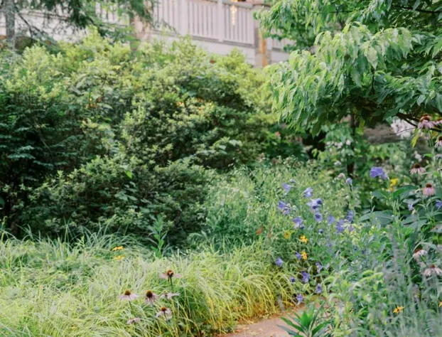 RT Lodge hotel detail image 3