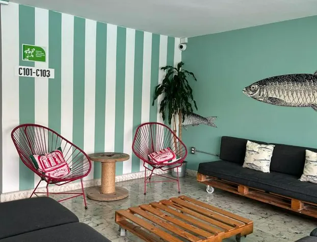 Mas Basico Hotel hotel detail image 3