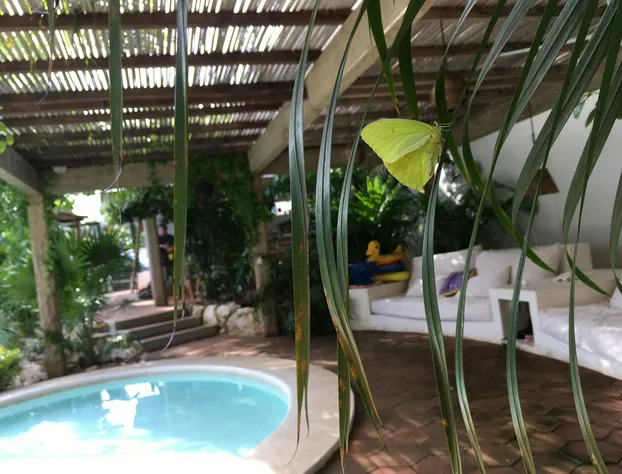 Villa Maria B&B hotel detail image 1