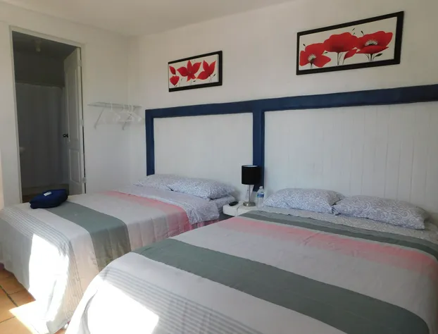 Posada Anahuacalli hotel detail image 3