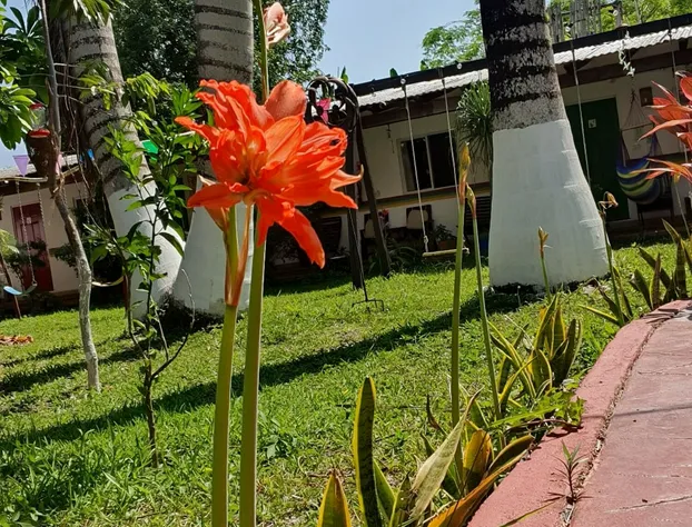 Villa Colibri Bacalar hotel detail image 4